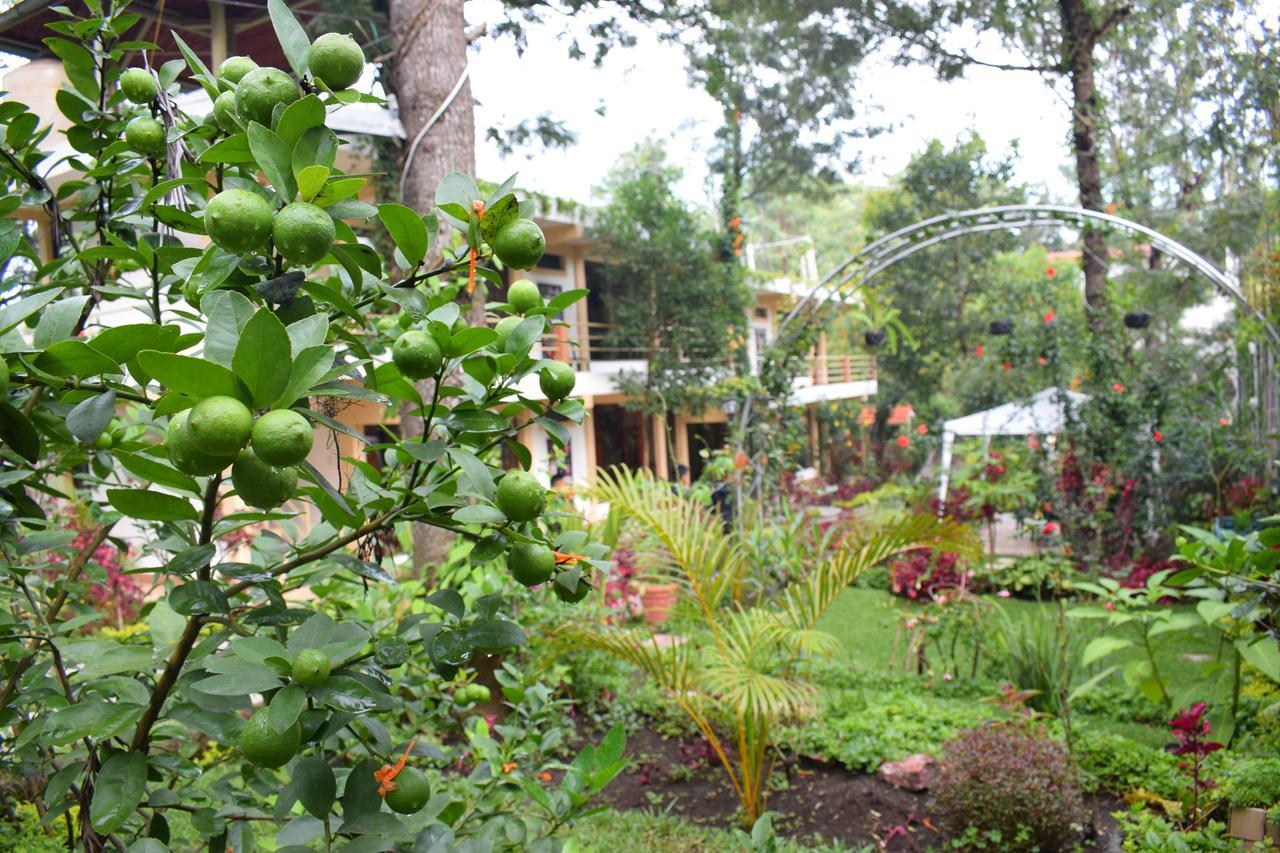 Santiago Atitlán Pescador Hotel Ph מראה חיצוני תמונה